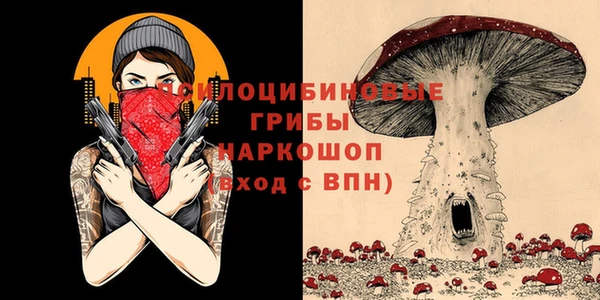 скорость Арсеньев