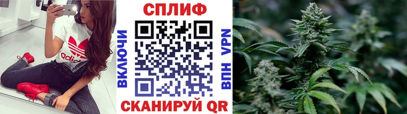 Бошки марихуана конопля  продажа наркотиков  Аркадак 